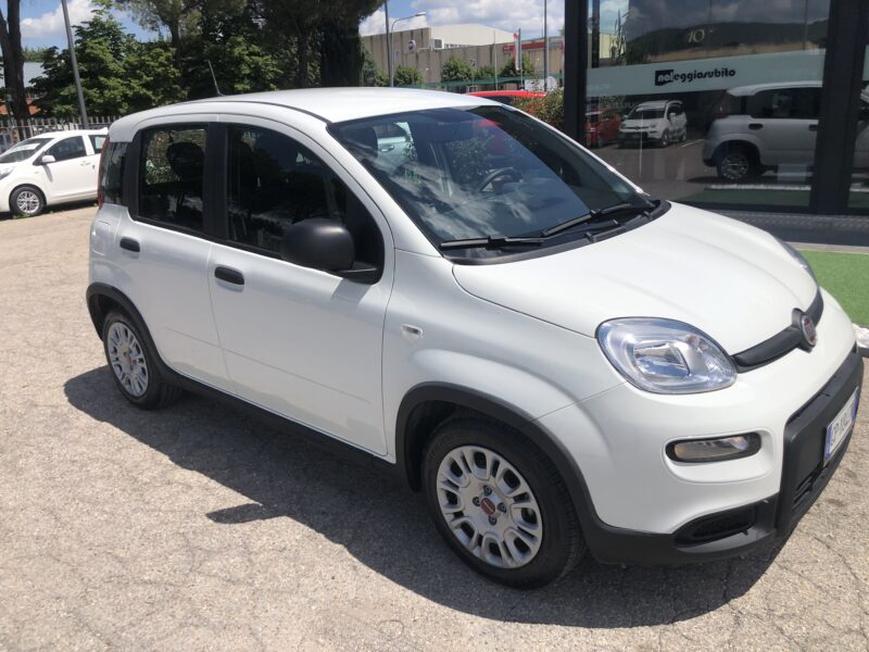 FIAT PANDA 1.0 FIREFLY 70CV SeS HYBRID