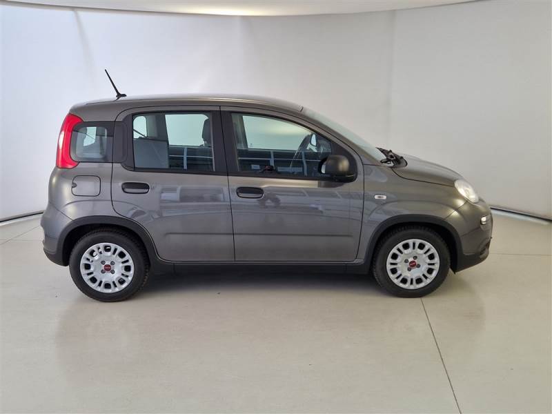 FIAT PANDA 1.0 70CV SeS HYBRID CITY LIFE