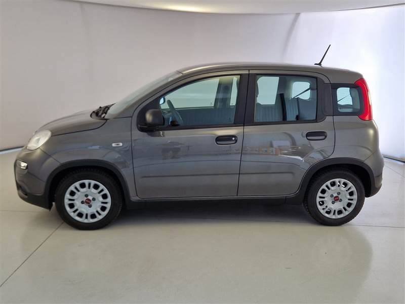 FIAT PANDA 1.0 70CV SeS HYBRID CITY LIFE