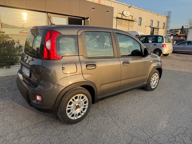 FIAT PANDA 1.0 70CV SeS HYBRID CITY LIFE