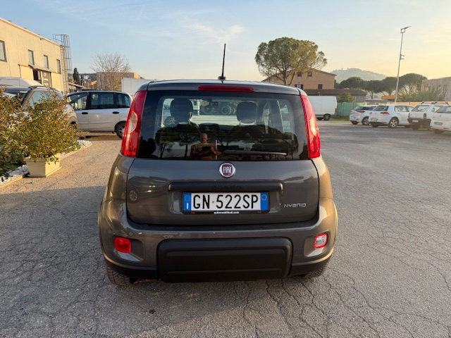 FIAT PANDA 1.0 70CV SeS HYBRID CITY LIFE