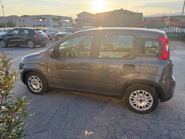 FIAT PANDA 1.0 70CV SeS HYBRID CITY LIFE